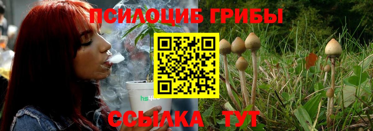 Галлюциногенные грибы GOLDEN TEACHER Донской